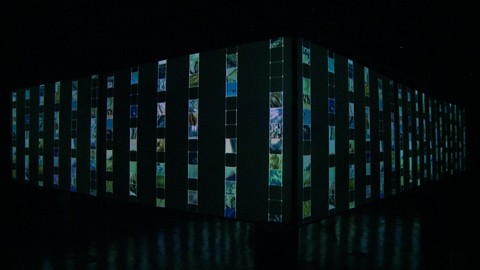Parallel Head