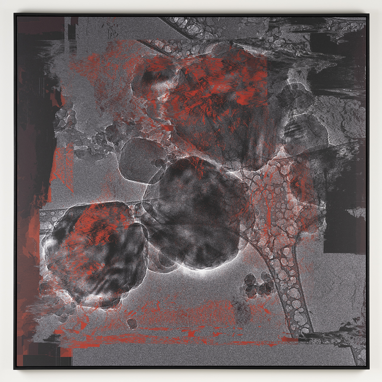 Atom [ mute ] 2